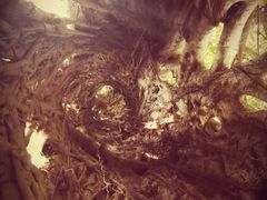 -华南国家植物园-售票处