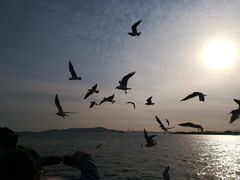 -八大关景区