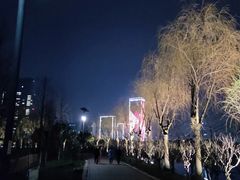 -艾溪湖湿地公园