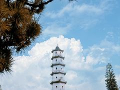 -江心屿景区