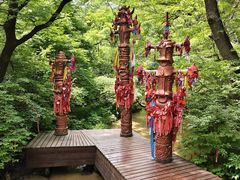 -大青沟风景区