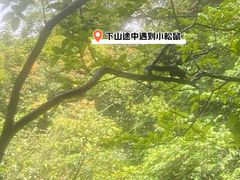 -广州市白云山风景名胜区