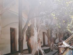 -西游洞风景区