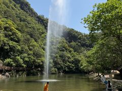 -龙湾潭国家森林公园