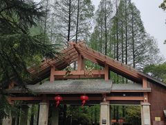 -五泄景区