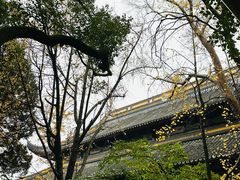 -西园戒幢律寺