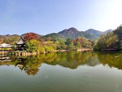 -黄陂区野村谷景区