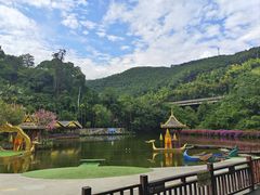 -西双版纳原始森林公园
