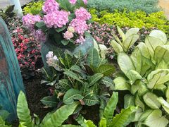 -石家庄市植物园