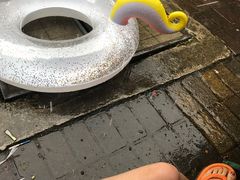 -重庆海昌加勒比海水世界