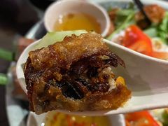 越南春卷-大头虾越式风味餐厅(光明广场店)