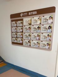 -北京安琪