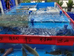 -明本海鲜大排档·鱼生海鲜烧烤宵夜(陈家祠店)