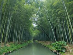 -同里国家湿地公园