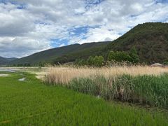 -泸沽湖国家级风景名胜区走婚桥