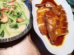 -岭南站NOVA