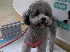 -美联众合动物医院·24h转诊中心
