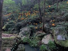 -苍岩山风景名胜区