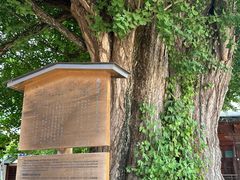 -医王山·飞騨国分寺