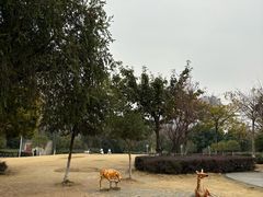 -沙河三洞古桥公园