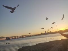 -星海广场