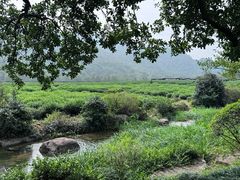 -中国茶叶博物馆(双峰馆区)