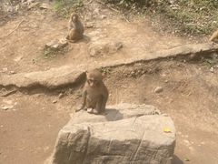 -黔灵山公园