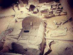 -洛阳周王城天子驾六博物馆