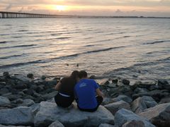 -宝安西湾红树林湿地公园