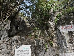 -星湖旅游景区七星岩