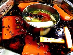-蜀九香火锅(九眼桥店)