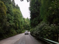 -娄山关景区
