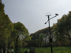 -同里国家湿地公园