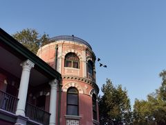 -北京动物园-畅观楼