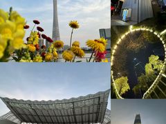 -珠江夜游天字码头