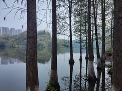 -重庆彩云湖湿地公园