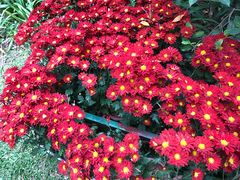 -人民公园(罗湖区)