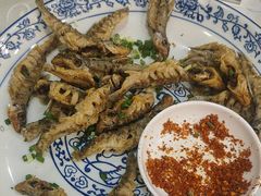 -高坎一品甲鱼庄(两河店)