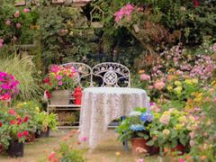 -白鹭湾湿地公园