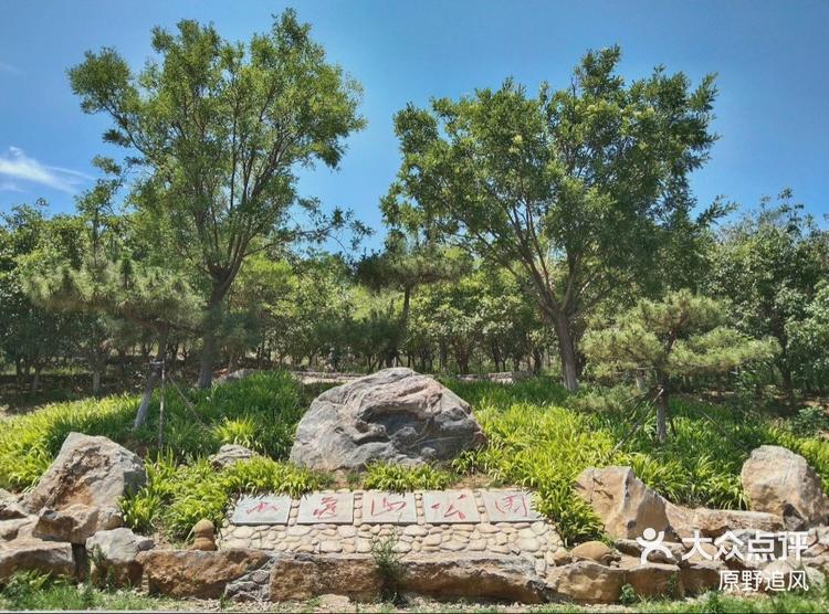 小龟山山体公园