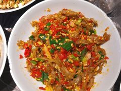 鸭掌筋-壹盏灯(惠农店)