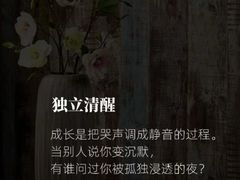 -曼朗心理咨询·旗舰店