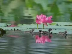 -水洞沟旅游区