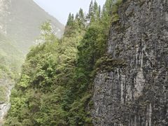 -鹿院坪生态旅游景区