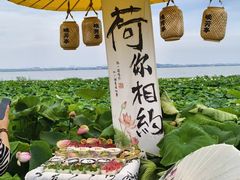 -七的湖·晚芳亭·阳澄湖农家菜·大闸蟹(莲花岛店)