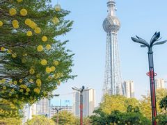 -文华公园(禅城区)