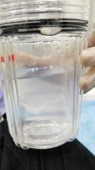 -久美荟·J Baby face