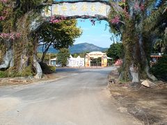 -天适樱花悠乐园