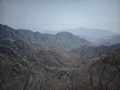 -大岭沟猕猴桃谷风景区