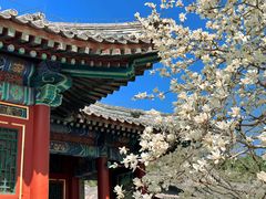 -颐和园